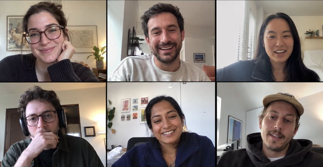 The team on a video call